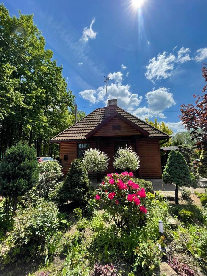 Zarzecze 27A Villa Augustów Dış mekan fotoğraf
