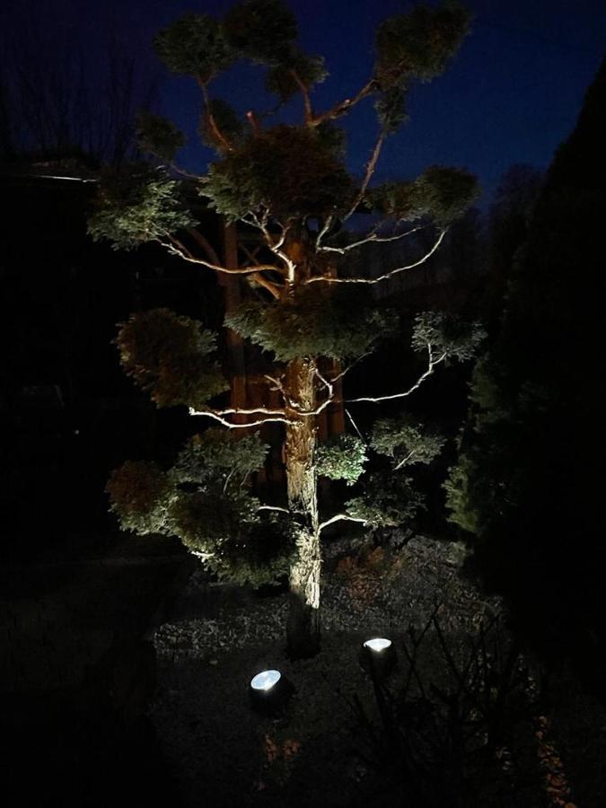 Zarzecze 27A Villa Augustów Dış mekan fotoğraf
